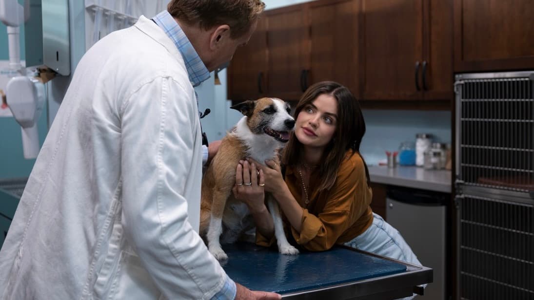 Lucy Hale as Nicole in Puppy Love.